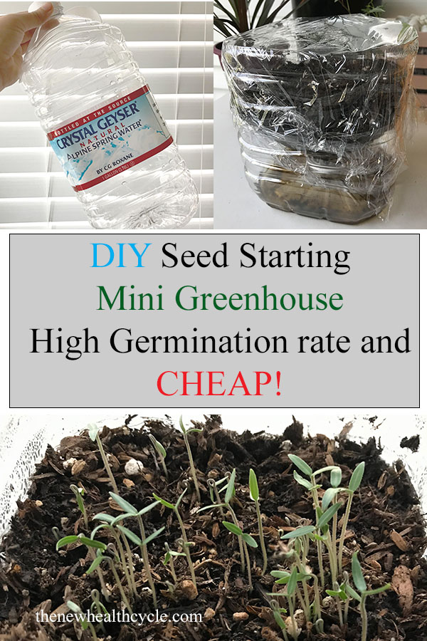 DIY seed starting mini greenhouse with high germination rate and cheap!